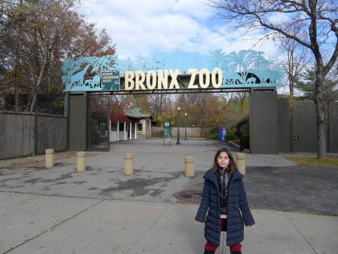 USA_2011-11-21 12-21-08